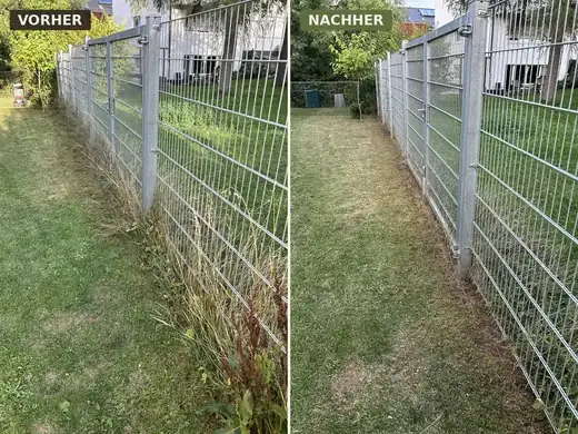 Zaunkante im Vergleich: vorher hoher Wildwuchs, nachher sauber freigeschnitten